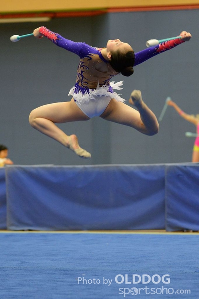Gymnastics (207)