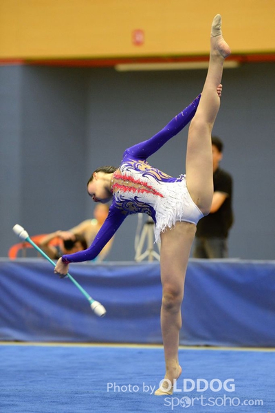 Gymnastics (209)