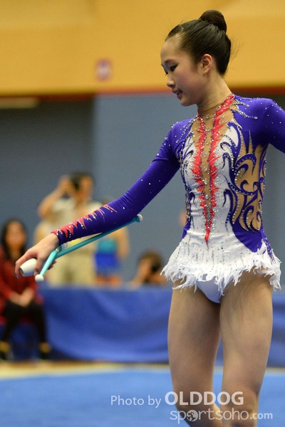 Gymnastics (211)