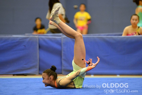 Gymnastics (218)