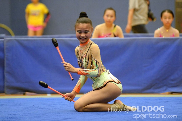Gymnastics (219)