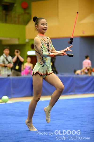Gymnastics (220)