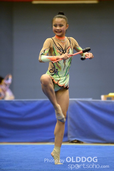 Gymnastics (222)