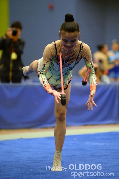 Gymnastics (223)