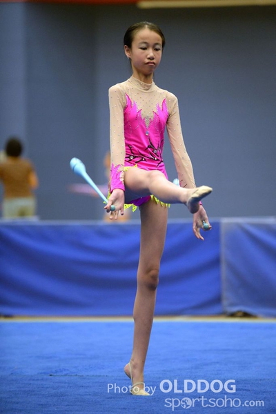 Gymnastics (224)