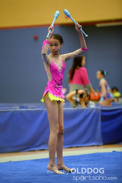 Gymnastics (225)