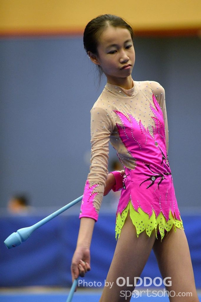 Gymnastics (226)