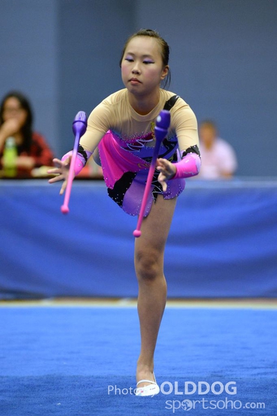 Gymnastics (228)
