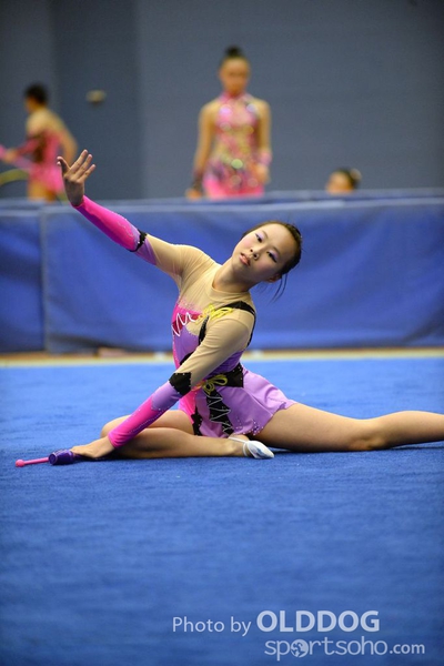 Gymnastics (231)