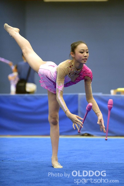 Gymnastics (233)