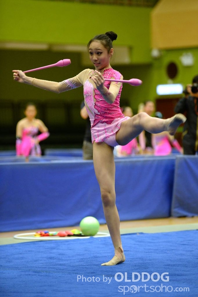 Gymnastics (238)