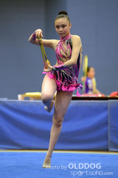 Gymnastics (242)