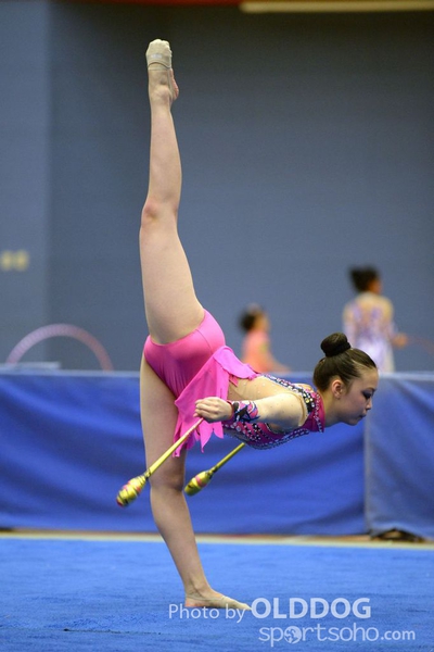 Gymnastics (243)