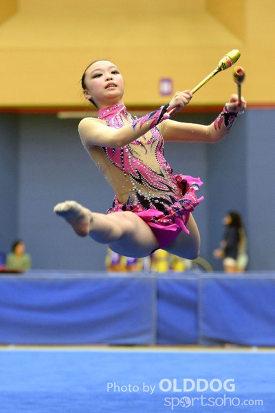 Gymnastics (244)