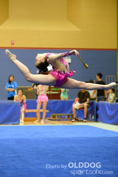 Gymnastics (247)