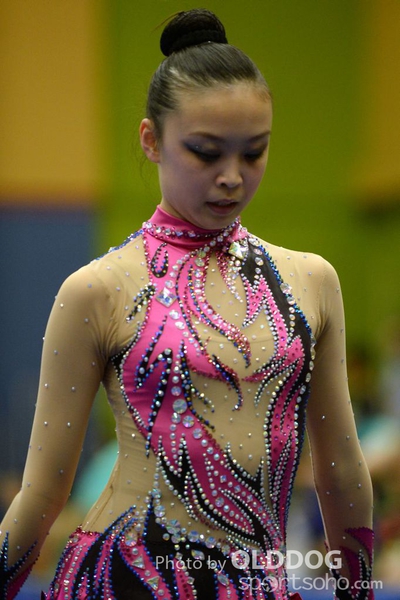 Gymnastics (248)
