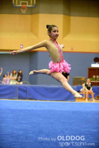 Gymnastics (250)