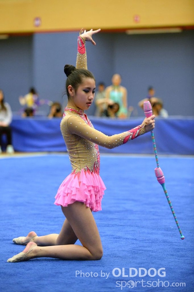 Gymnastics (254)