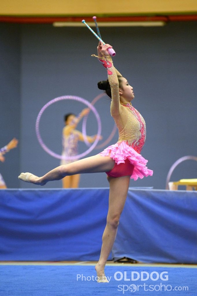 Gymnastics (256)