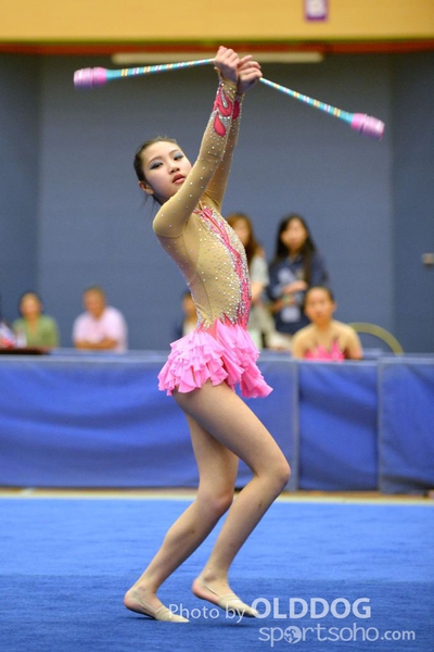 Gymnastics (257)