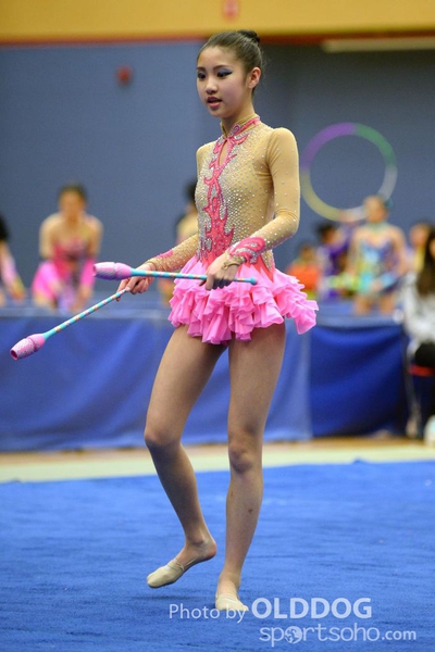Gymnastics (260)