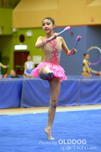 Gymnastics (261)