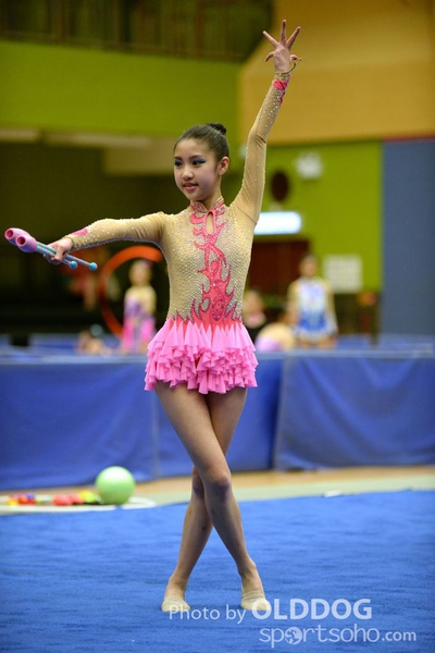 Gymnastics (262)