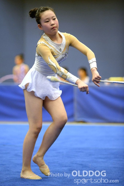Gymnastics (266)