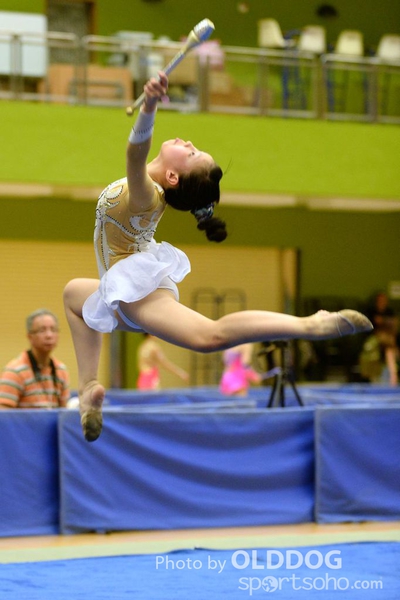 Gymnastics (268)