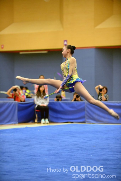 Gymnastics (281)
