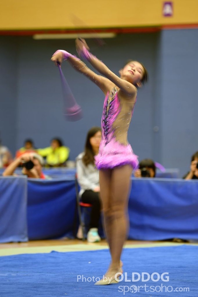 Gymnastics (286)