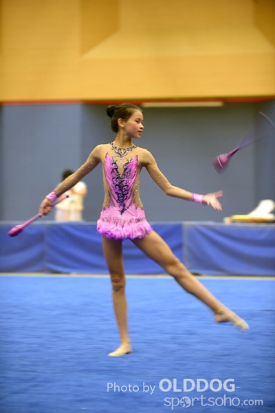 Gymnastics (287)