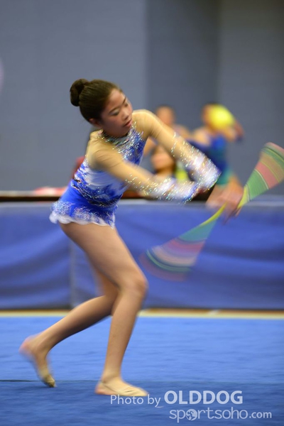 Gymnastics (289)