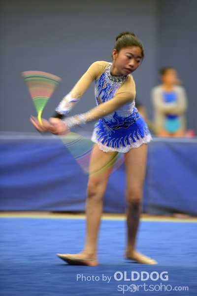 Gymnastics (290)