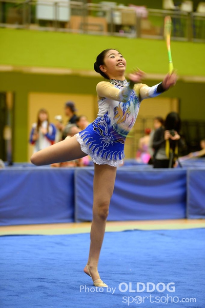 Gymnastics (291)