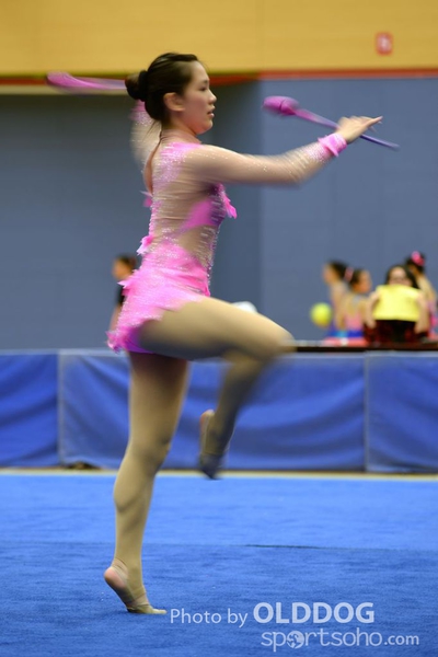 Gymnastics (292)