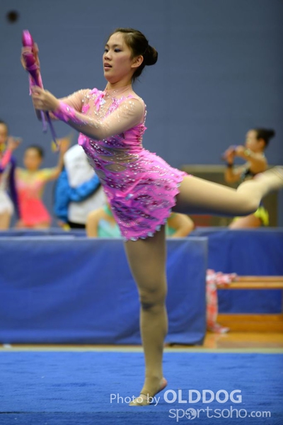 Gymnastics (293)