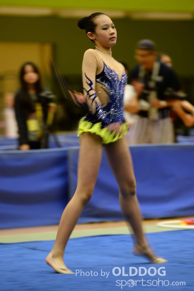 Gymnastics (294)