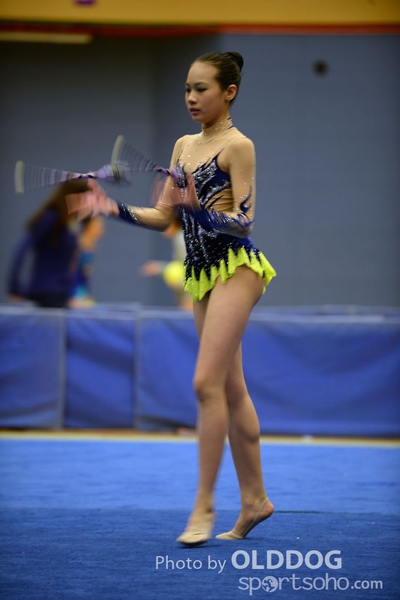 Gymnastics (296)
