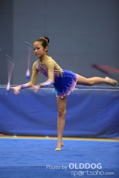 Gymnastics (298)