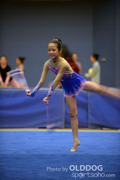 Gymnastics (299)