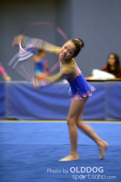 Gymnastics (300)