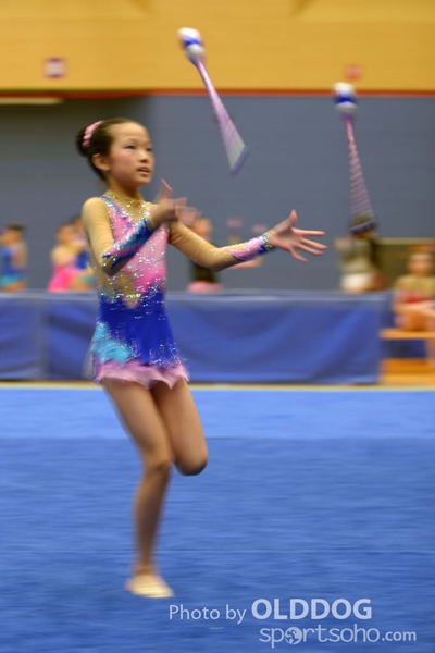 Gymnastics (302)