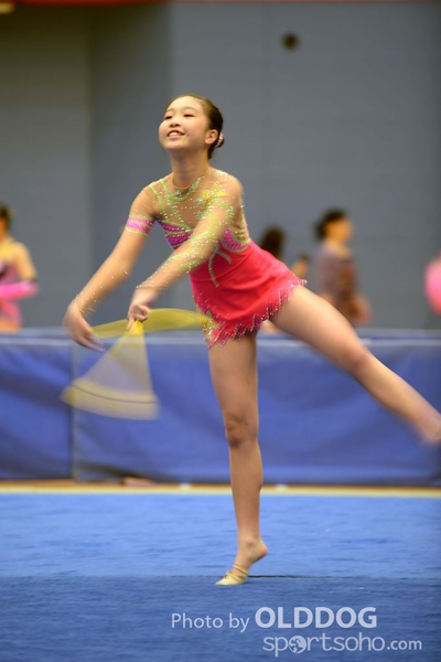 Gymnastics (306)