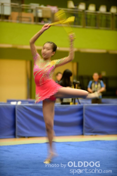 Gymnastics (307)