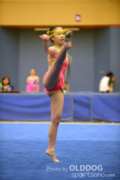 Gymnastics (308)