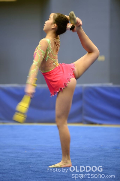Gymnastics (309)