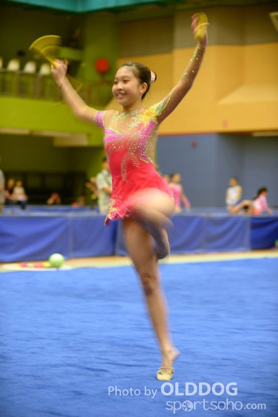 Gymnastics (310)