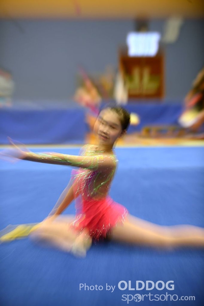 Gymnastics (311)