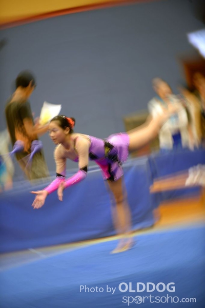 Gymnastics (312)